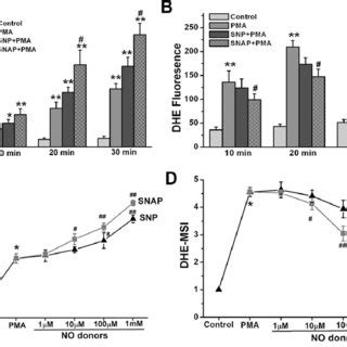 Characterization Of Various Reactive Species Formed In Pmns Following