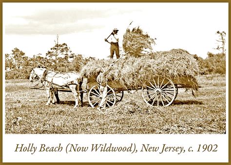 Farm Workers and Horse Drawn Hay Wagon, c.1902, Vintage Photogra Photograph by A Macarthur ...