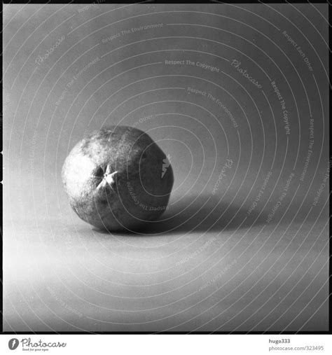 Mango In Monochrom Ein Lizenzfreies Stock Foto Von Photocase