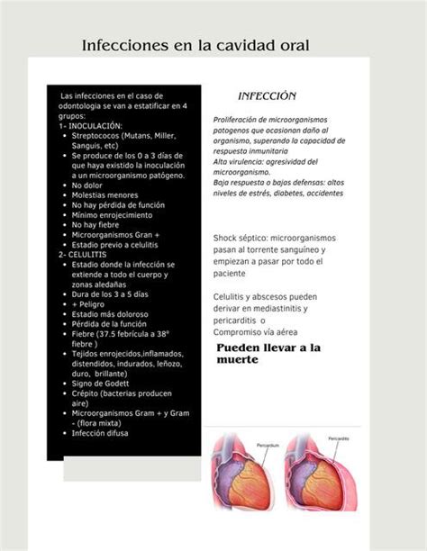 Infecciones En La Cavidad Oral Etapas Ximena Rangel UDocz