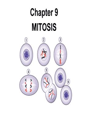 Fillable Online Chapter 9 MITOSIS LA County High School For The Arts