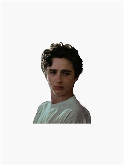 Timothée Chalamet Elio Call Me by Your Name Sticker for Sale by