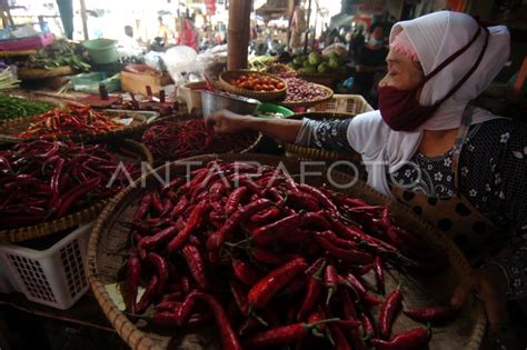 HARGA CABAI NAIK DRASTIS ANTARA Foto