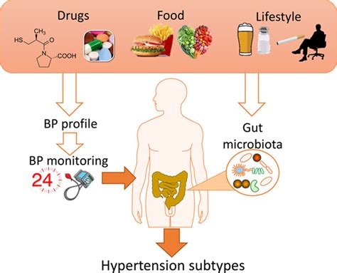 Population Based Gut Microbiome Associations With Hypertension