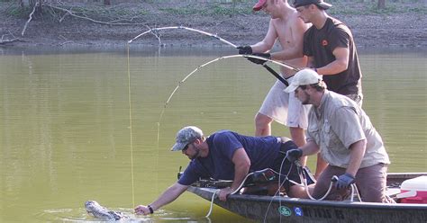 hunting leases in mississippi 3