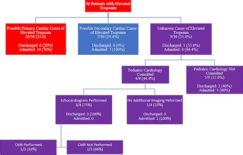 Troponin Flowchart