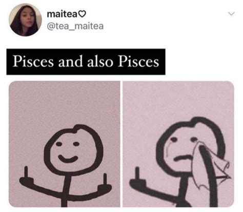 21 Pisces Memes For The Most Emotional Zodiac Sign Darcy