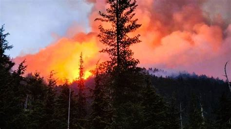 What To Know As Gov Inslee’s Declares Wa Wildfire Emergency Bellingham Herald