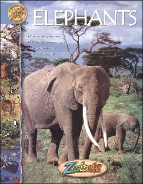 Elephants Zoobook | Zoobooks | 9780937934005