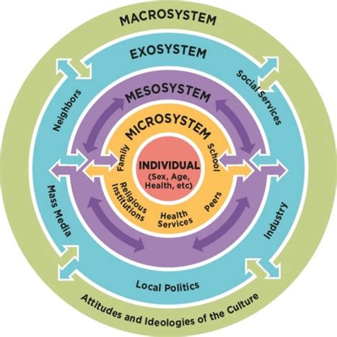 9 Urie Bronfenbrenners Ecological Systems Theory Ideas Urie Images