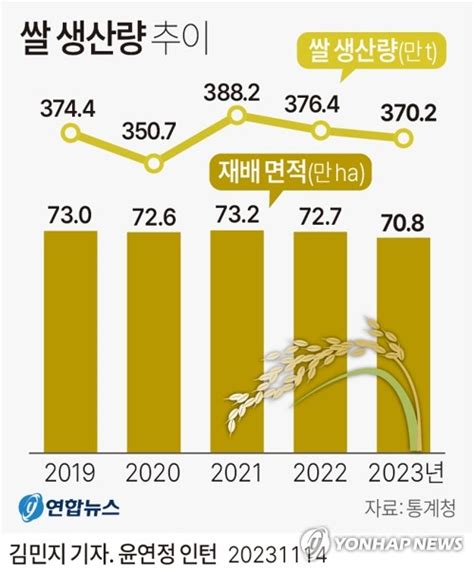 올해 쌀 생산량 370만t재배면적 감소에 16↓ 나무뉴스