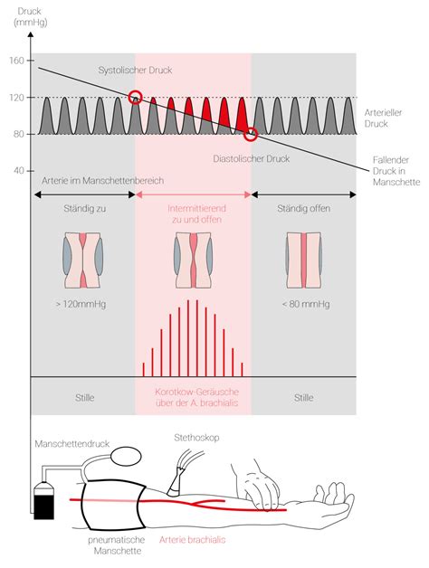 Blutdruck Definition Normalwerte Cosinuss