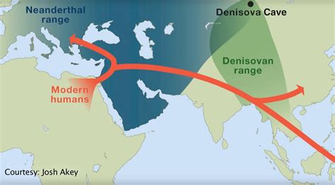 Neanderthal Dna Map