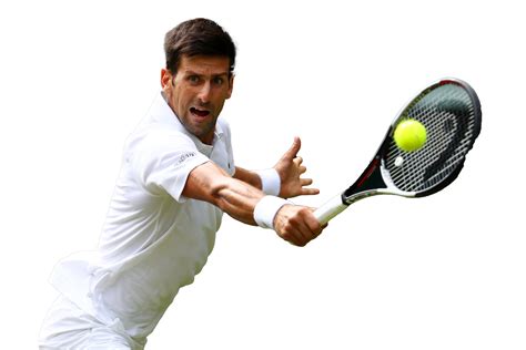 Novak Djokovic PNG Images Transparent Free Download