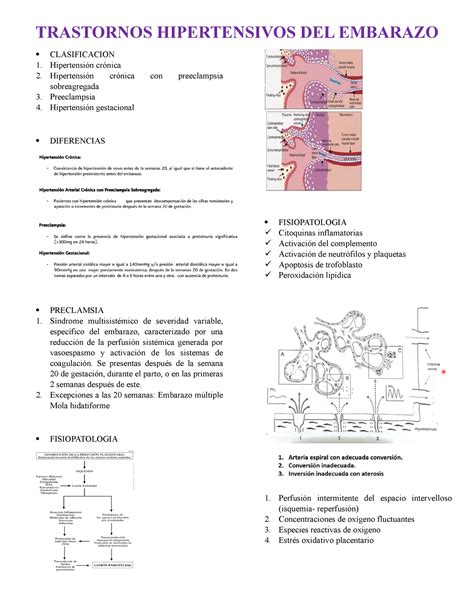 Trastornos Hipertensivos Del Embarazo Dr Arredondo Trastornos