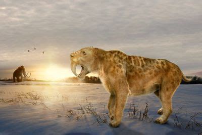 The Giant Mammals of the Cenozoic Era