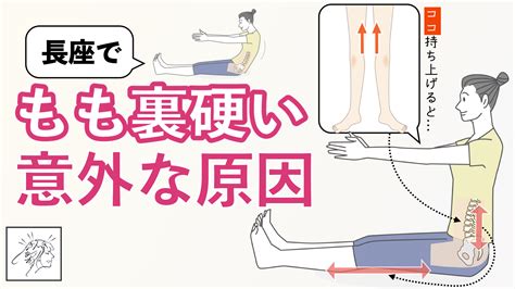 
おすわりできない：原因、対策、予防法の徹底ガイド