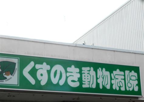 
くすのき動物病院 吹田：最先端の設備と専門的なケアを提供する信頼できる動物病院