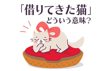 
たちねこ 意味と影響