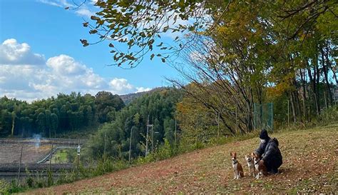 
まほろばの丘：安らぎと美しさに包まれた聖地