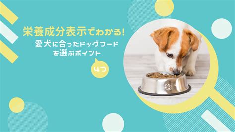 
フィッシュ4ドッグ 口コミでわかる愛犬に愛される理由を徹底調査！