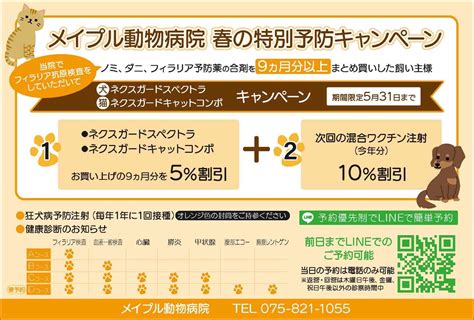 
メイプル動物病院で、ペットに最適なケアを見つけよう