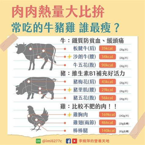 
肉感10000字深度解析：全面剖析肉類營養、健康和趨勢