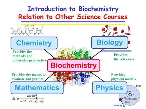 
Biochemical vs Chemical: Delving Into the Fundamental Distinction