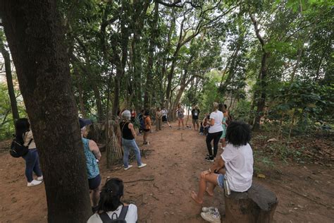 
Desbloqueando o Poder do Conhecimento com o Instituto Alana**