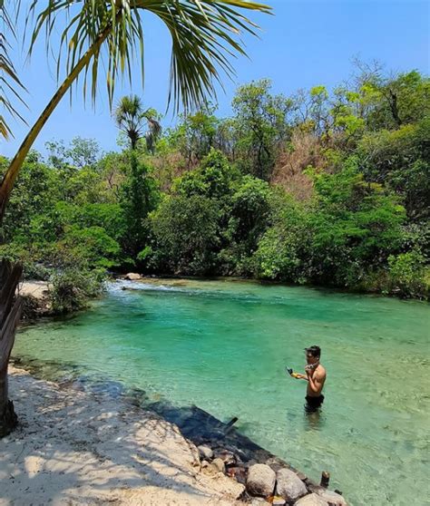 
Descubra o Encanto da Lavandeira Tocantins**