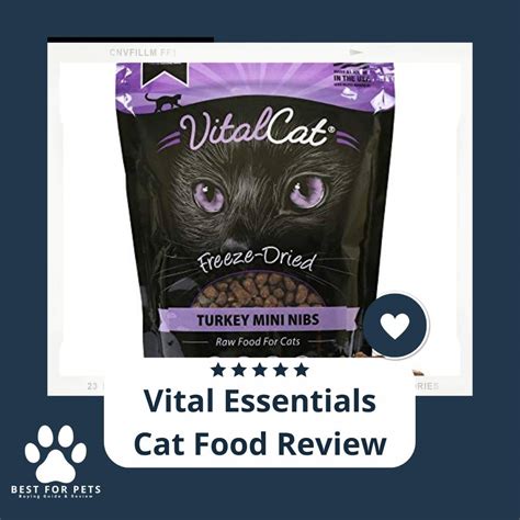 
Empowering Your Feline Companion with P3R Cat Food: A Comprehensive Guide to Optimal Nutrition