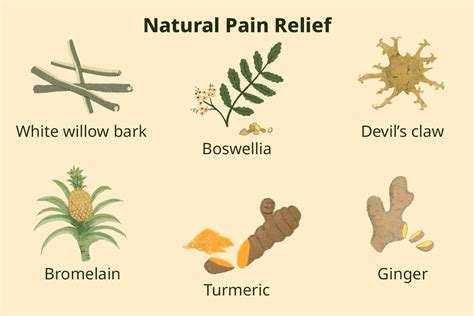 
Natural Pain Reliever