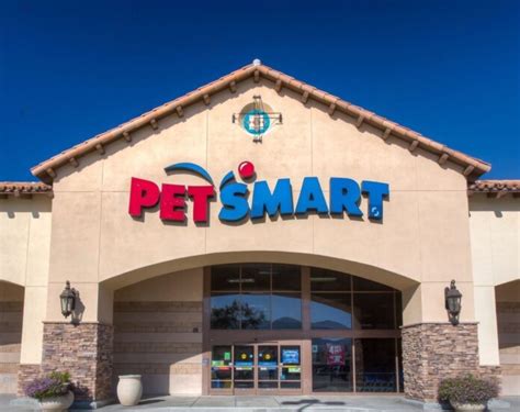 
PetSmart $20 Neutering Near Me: Everything You Need to Know