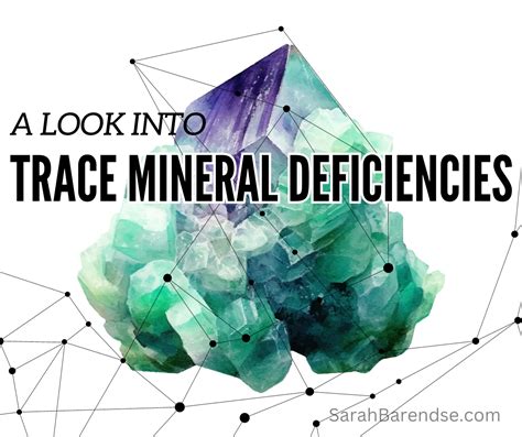 
Selenereyy: A Comprehensive Guide to the Essential Trace Mineral