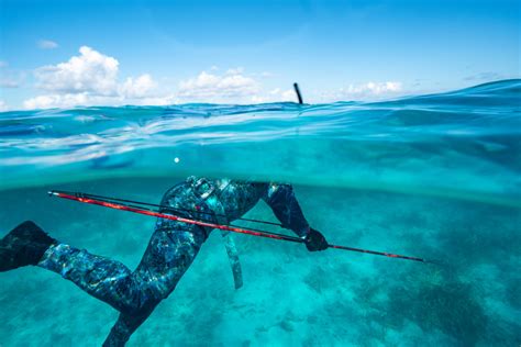 
The Joy of Spears: A Comprehensive Guide to the Art of Joyful Spearing
