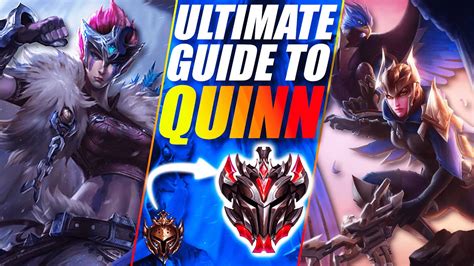 
The Ultimate Guide to Devereux Quinn: Everything You Need to Know
