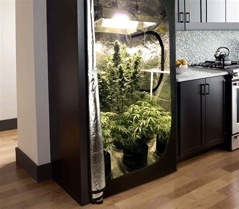 
The Ultimate Guide to Gorilla Grow Tent**