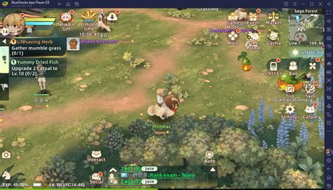 
Tree of Savior: Neverland - An In-Depth Exploration of the Game's Key Features and Mechanics