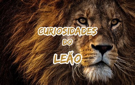 
Tudo Sobre o Leao Bet 1**