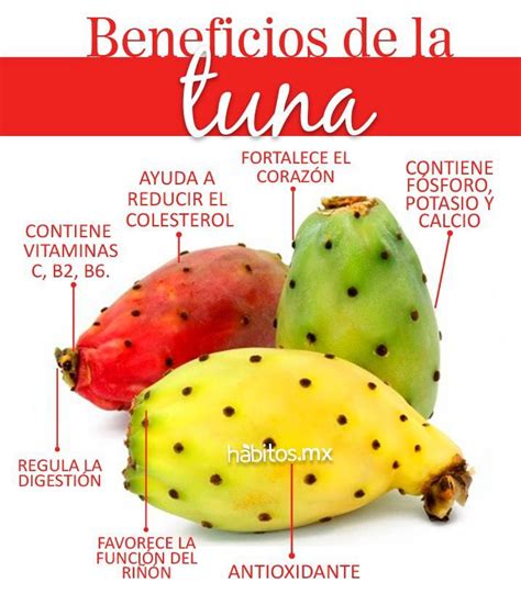 
Tuna fruta: A Superfood with Many Health Benefits