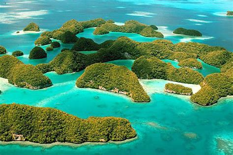 
Why Palau is a Perfect Getaway for Nature Enthusiasts: A Comprehensive Guide