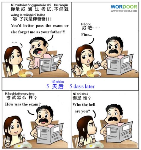 
chinease memes: The Ultimate Guide to Chinese Humor