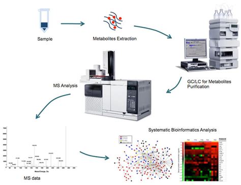 "Flowomics":