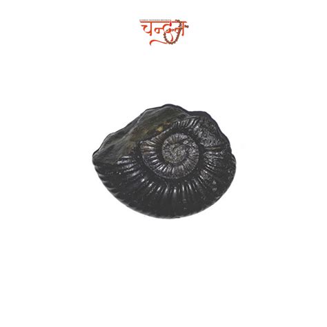 "Maha Vishnu Shaligram"