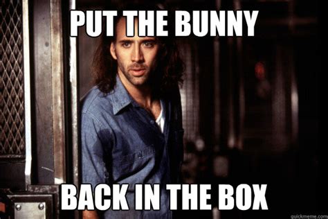 "Put the bunny back in the box":