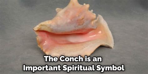 "The Conch... is the only thing that we have left."