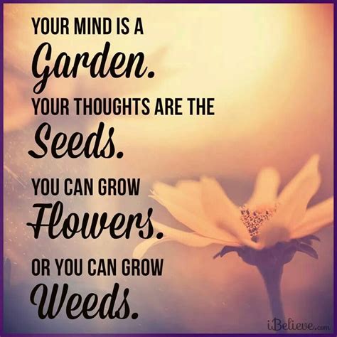 "The mind is a garden. The soul is a gardener."