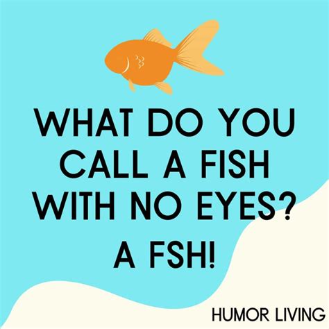 "What do you call a fish with no eyes?"