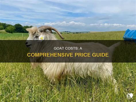 $1,000,000 - The Astonishing Price of a Goat: A Comprehensive Guide