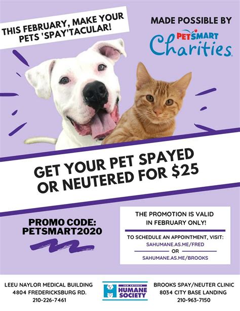 $25 Spay and Neuter Near Me